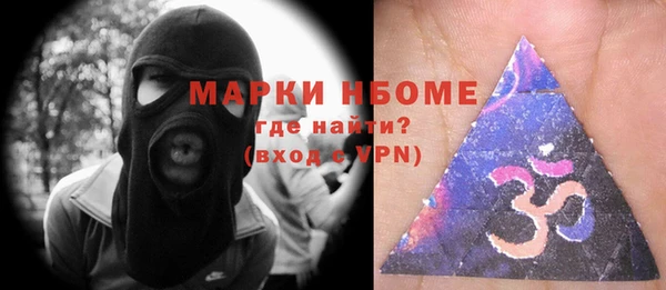 индика Видное