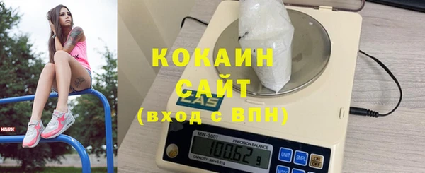 дмт Каменка