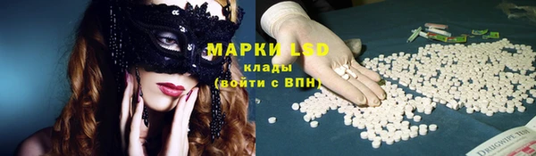 прущие крисы Каменногорск