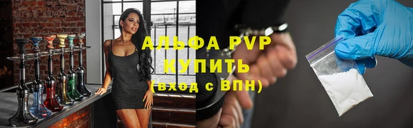 дмт Каменка