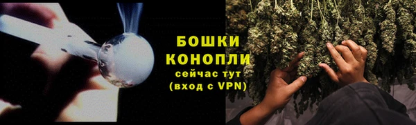 дмт Каменка