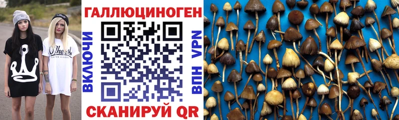 Псилоцибиновые грибы MAGIC MUSHROOMS  наркошоп  Киренск 